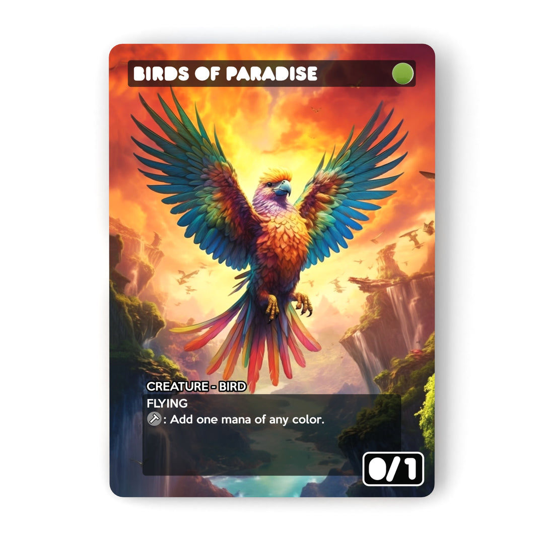 Birds Of Paradise